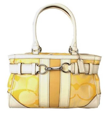 Coach Carryall | Gift Ideas 2021 | Cool Gifts
