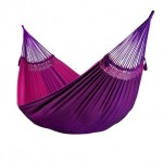 Purple Hammock